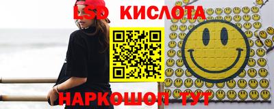 мет Кингисепп