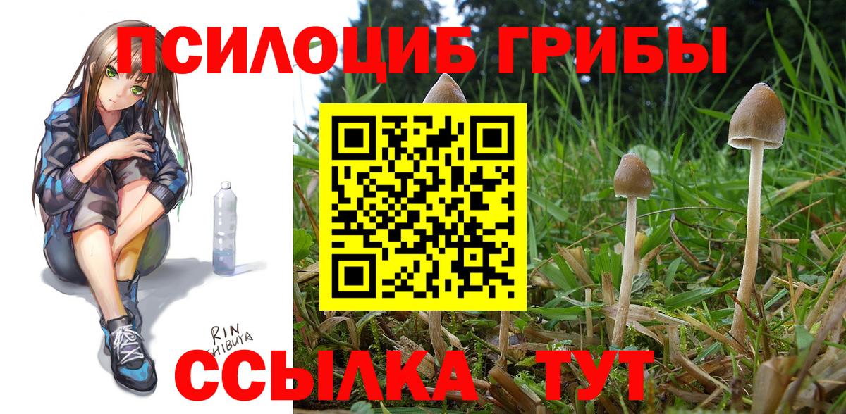 APVP СОЛЬ   Вейп ТГК  ГАШИШ  Нефтеюганск  МЕФ кристаллы  Бошки Шишки  Cocaine  Вход с VPN  Наркошоп 